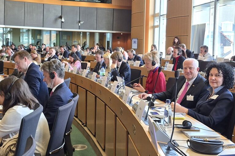 SRDK pirmininkas Kęstutis Bilius dalyvavo Europos Parlamento Užimtumo ir socialinių reikalų komiteto tarpparlamentiniame posėdyje „Žmonių darbas skaitmeniniame amžiuje – dirbtinis intelektas, naujos darbo formos ir su darbu susijęs stresas“.  Rūtos Bunevičiūtės nuotr.