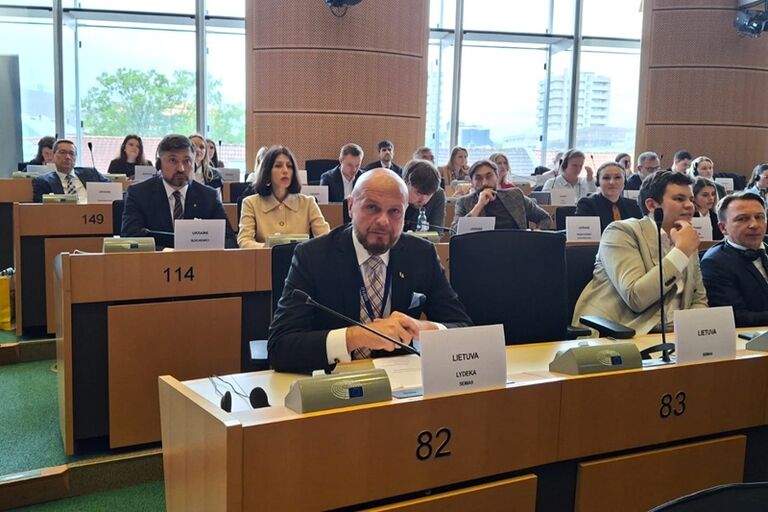 Seimo ERK pirmininko pavaduotojas Arminas Lydeka dalyvavo Europos Parlamento Žmogaus teisių pakomitečio  tarpparlamentiniame komitetų posėdyje. Rūtos Bunevičiūtės nuotr.