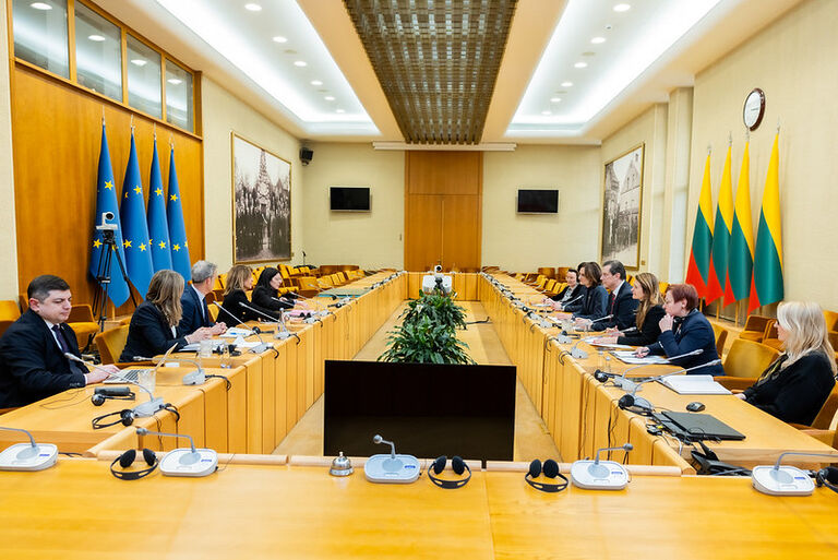 Seimo opozicinių frakcijų atstovų susitikimas su Venecijos komisijos nariais