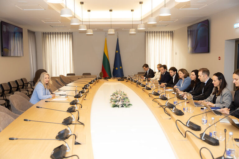 Ekonomikos ir inovacijų komiteto pirmininkės Jekaterinos Rojakos susitikimas su CCIA Europe delegacija.