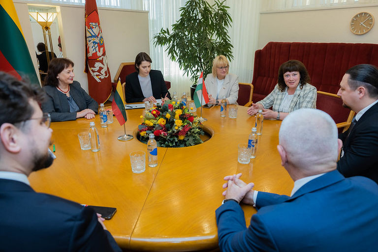 Seimo Tarpparlamentinių ryšių grupės su Vengrija susitikimas su Vengrijos ambasados atstovais ir svečiu iš Vengrijos. 2025-05-21
