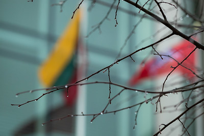 Seimas pays tribute to the victims of the Auschwitz-Birkenau German Nazi Concentration Camp and their memory