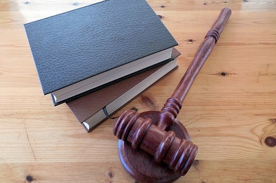 Seimas atmetė Respublikos Prezidento veto dėl Baudžiamojo kodekso pataisų