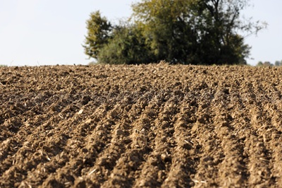Seimas atsisakė privalomo visų žemės sklypų ženklinimo riboženkliais
