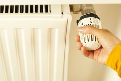 Seimo Energetikos ir darnios plėtros komitetas ėmėsi biokuro rinkos stabilizavimo: parengti klausimai institucijoms ir numatomas žymus žaliavos pasiūlos padidėjimas