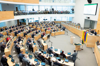 Seimas spręs dėl lengvatinio PVM tarifo moterų higienos priemonėms
