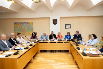 Kultūros komiteto ir Valstybės valdymo ir savivaldybių komiteto bendrame posėdyje dėmesys kultūrai regionuose

