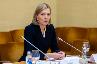 Seimo narės A. Bilotaitės pranešimas: Seime vyks atsakingų institucijų pasitarimas dėl vaikų pornografijos platinimo užkardymo

