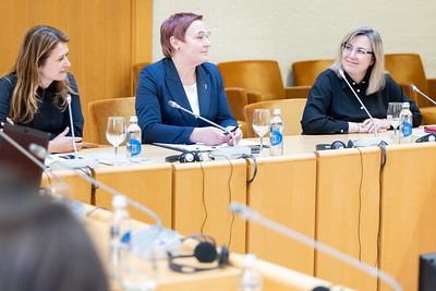 Seimo narių J. Sejonienės, G. Balčytytės ir D. Ulbinaitės pranešimas: Seime aptarta kovos su dezinformacijos svarba