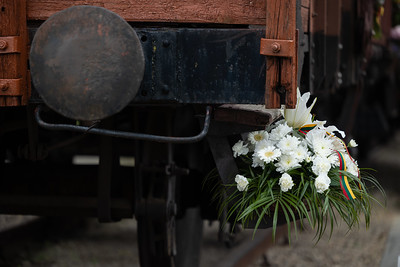 2024 m. Gedulo ir vilties bei Okupacijos ir genocido dienų minėjimų renginiai