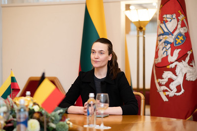 Radvilė Morkūnaitė-Mikulėnienė dalyvauja 2004 m. į Europos Sąjungą įstojusių valstybių narių parlamentų Europos reikalų komitetų pirmininkų susitikime