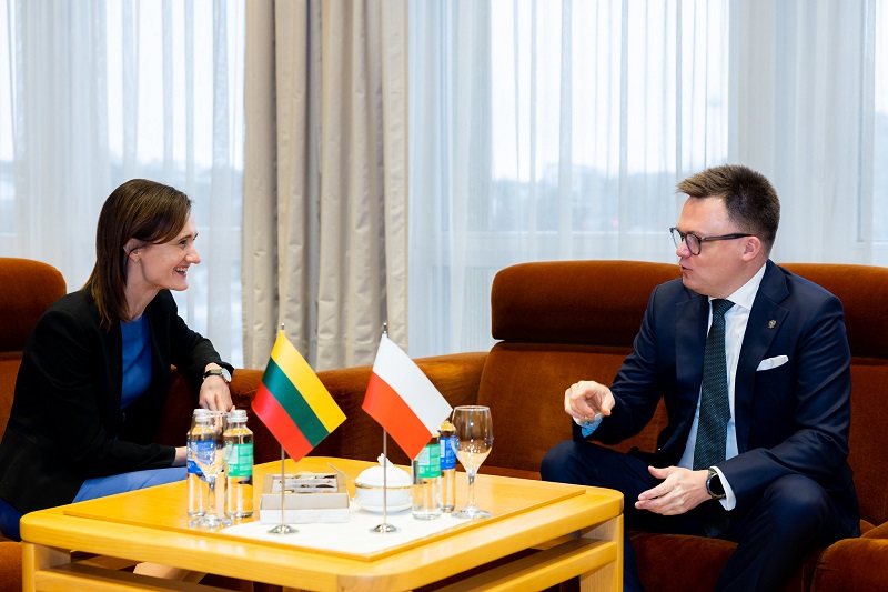 Speaker of the Seimas: ‘Lithuania and Poland should accelerate the implementation of joint strategic, economic and defence projects’