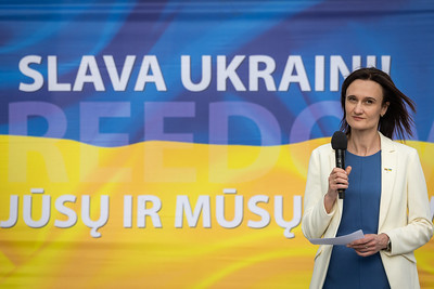 Speaker of the Seimas congratulated Ukraine on Independence Day