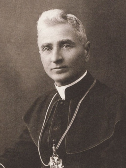 LNM_K.S.Šaulys_3x4_500px.jpg