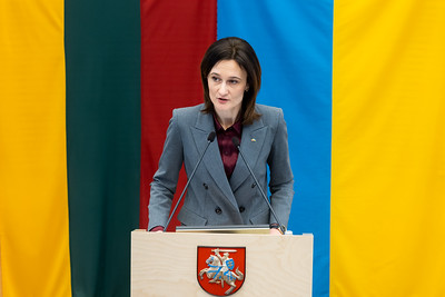 Seimo Pirmininkė V. Čmilytė-Nielsen: „NATO turi visas prielaidas užtikrinti saugumą ir stabilumą ne tik savo teritorijoje, bet ir aplinkiniuose regionuose“