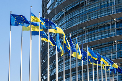 Seimo narys Ž. Pavilionis dalyvaus tarptautinėje konferencijoje, skirtoje aptarti Ukrainos ir Europos partnerystę gynybos srityje