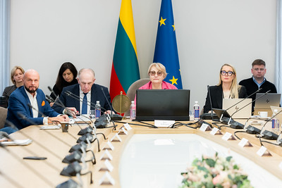 Seimo komitetai aptarė Lietuvos pasirengimą pirmininkauti ES Tarybai: būtinas ne tik administracinis pasirengimas, bet ir aktyvus politinis įsitraukimas