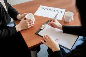 Seime – nacionalinė konferencija tarptautinei mediacijos dienai paminėti