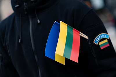 Seimas ratifikavo konvenciją dėl Tarptautinės paraiškų dėl Ukrainos nagrinėjimo komisijos įsteigimo