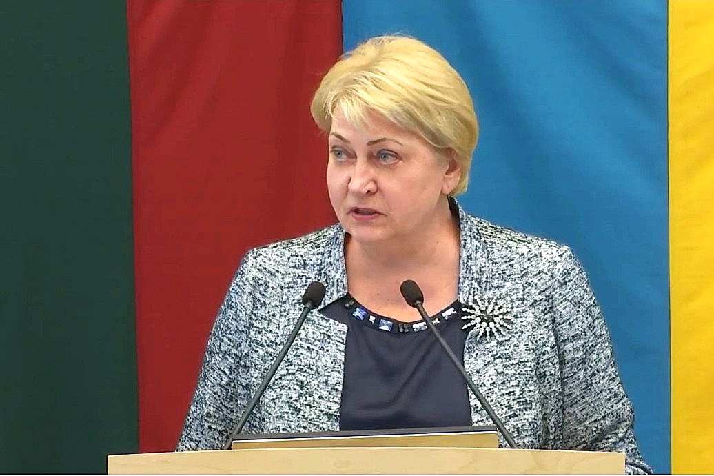 Seimui pristatytas nutarimo dėl pirmininkavimo Europos Sąjungos Tarybai 2027 metais projektas