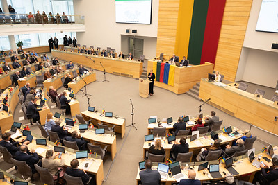 Seimas priėmė rezoliuciją „Dėl Lietuvos demografinės padėties ir žmogiškojo kapitalo plėtros“