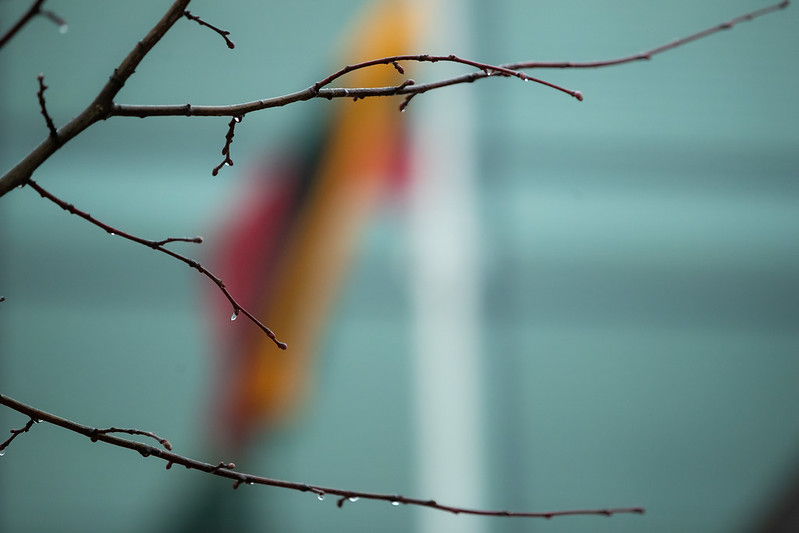 Seimo Liberalų sąjūdžio frakcija: „Karantino švelninimas galėtų vykti teritoriniu principu“