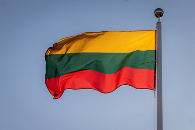 Seimas apsisprendė dėl 2028-ųjų proginių metų paskelbimo