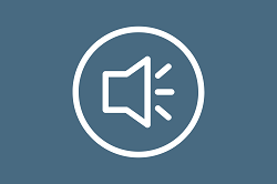 2002 m. sausio 13 d. iškilmingo posėdžio garso įrašas