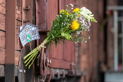 2025 m. Gedulo ir vilties bei Okupacijos ir genocido dienų minėjimų renginiai