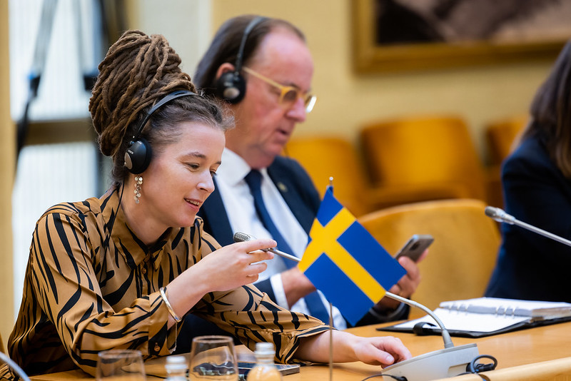 2023 06 12 </br> Kultūros komiteto ir Žmogaus teisių komiteto susitikimas su Švedijos Karalystės Riksdago Kultūros komiteto delegacija