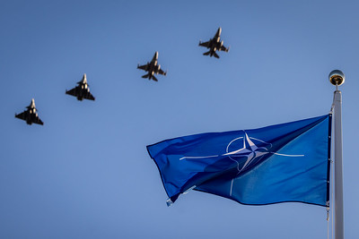 Seimo atstovai dalyvaus NATO Parlamentinės Asamblėjos metinėje sesijoje