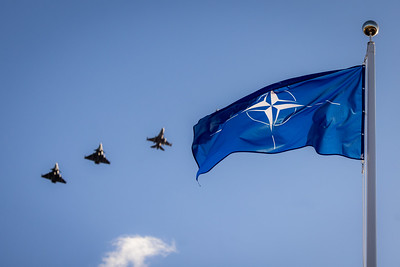 The Committee on Foreign Affairs and the Committee on National Security and Defence adopt a joint statement on Lithuania’s 21-year membership of NATO
