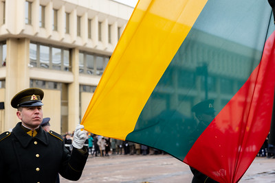 Seimo Pirmininkė V. Čmilytė-Nielsen Baltijos valstybių vėliavų pakėlimo ceremonijoje: „Mūsų istorija ne kartą parodė, kad mes turime jėgų susitelkti, kai to reikia“