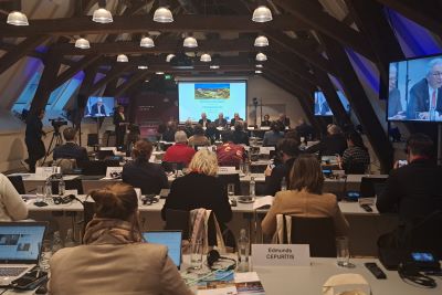 E. Zingeris: „ETPA pabrėžta Lietuvos parama Sakartvelo europiniams siekiams ir išreikštas susirūpinimas dėl Rusijos įtakos rinkimų procesams“