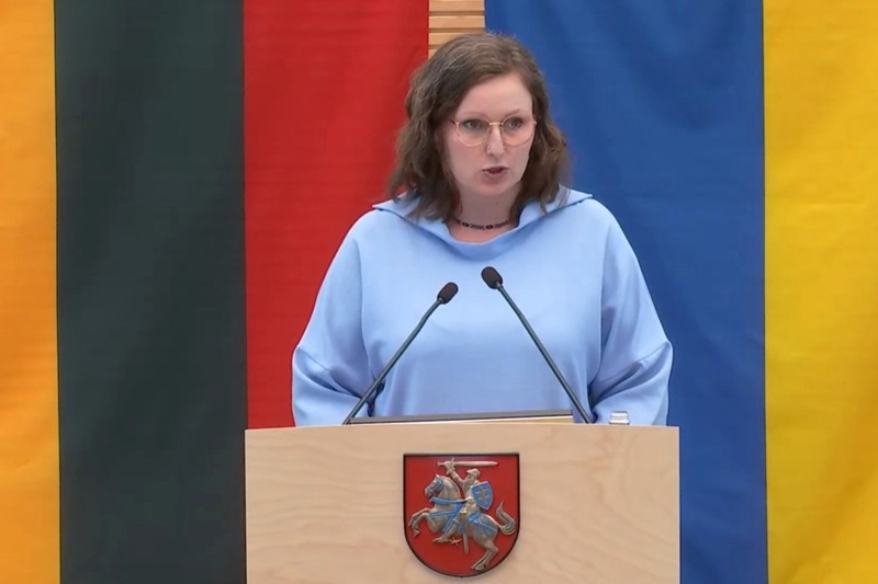 D. Kabelkė.jpg