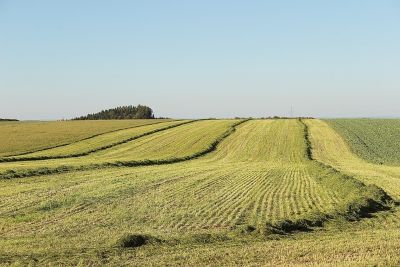 Kaimo reikalų komitetas prašo užtikrinti paslaugų, susijusių su valstybine žeme, teikimą teisės aktų nustatyta tvarka