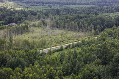 Seime – konferencija apie Lietuvos miškų ateitį: kryžkelėje atsidūręs sektorius laukia sprendimų