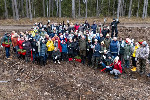 Seimo bendruomenė rinksis į tradicinę miško sodinimo akciją
