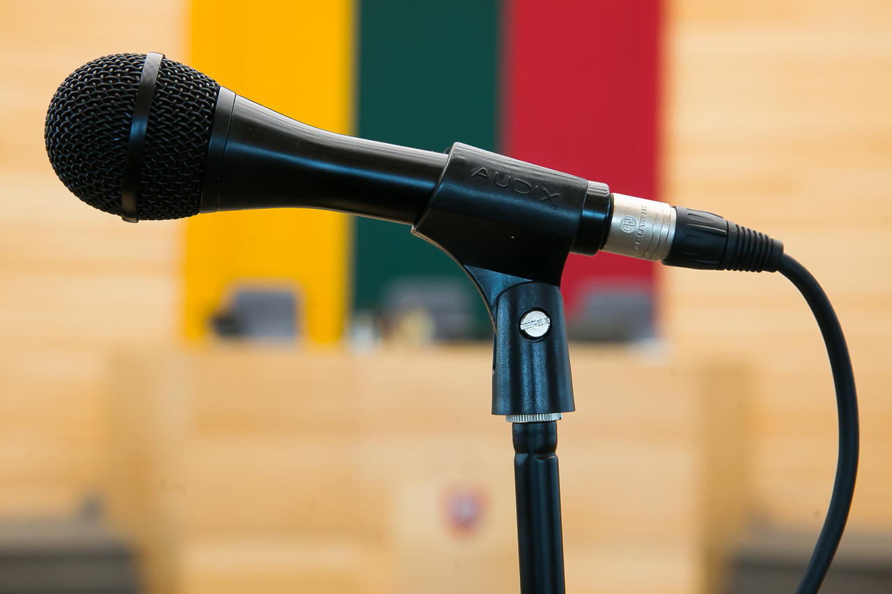 Lapkričio 14 d., penktadienio, spaudos konferencija Seime