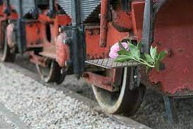 2024 m. Pagerbsime okupacijos, genocido ir sovietmečio represijų aukų atminimą (pranešimas žiniasklaidai)