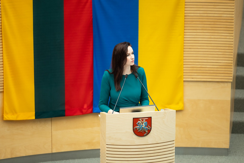 Seimui pristatytas dvidešimtosios Vyriausybės programos projektas