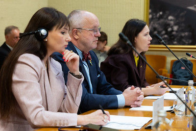 2026 10 06<br> Konferencija „Priedangos: Ukrainos patirtis ir Lietuvos sprendimai“