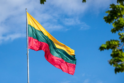 Seimas patikslino 2026-ųjų proginius metus