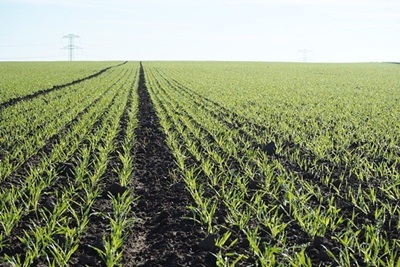 Seimas leido perleisti valstybinės žemės nuomos teises šeimos nariams