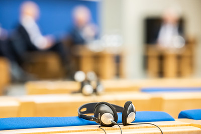 Paryžiuje susitinka Baltijos valstybių, Bulgarijos Respublikos, Prancūzijos Respublikos, Rumunijos, Suomijos Respublikos ir Višegrado grupės šalių parlamentarai