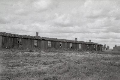 Macikų lageriai: vieta, kur susikirto nacių ir sovietų siaubas