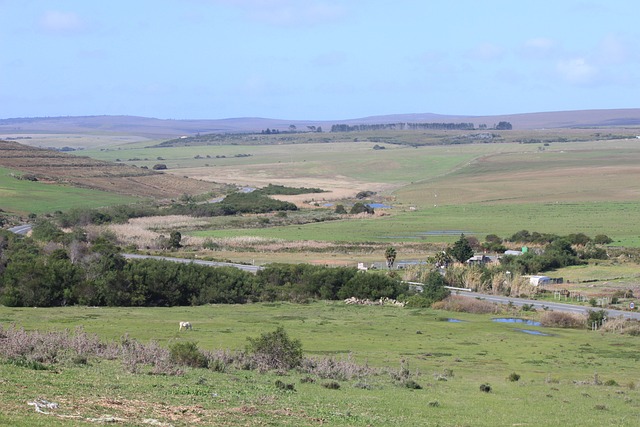 Seimas pritarė valstybinės žemės kaimų gyvenamosiose vietovėse perdavimui savivaldybėms