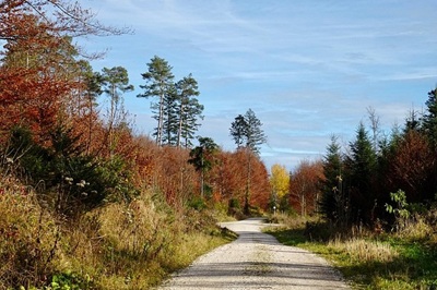 Seimas svarstys siūlymą plėsti Tauragės karinį poligoną Jurbarko rajono savivaldybės teritorijoje
