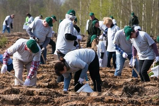 Seimo kanceliarijos bendruomenė jungiasi prie miškasodžio akcijos