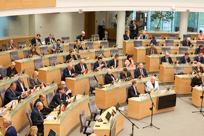 Seimui pristatytas siūlymas įtvirtinti Europos Parlamento narių pavadavimą